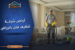 ارخص شركة تنظيف فلل بالرياض مضمونة