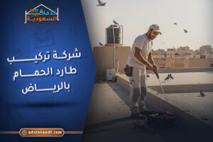 ارخص شركة تركيب طارد الحمام بالرياض