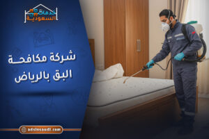 شركة مكافحة البق بالرياض