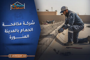 أفضل شركة مكافحة الحمام بالمدينة المنورة