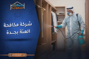 شركة مكافحة العته بجدة