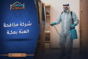 شركة مكافحة العتة بمكة