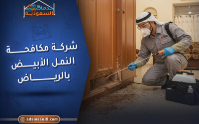 الإعلانات شركة مكافحة النمل الابيض بالرياض موثوقة