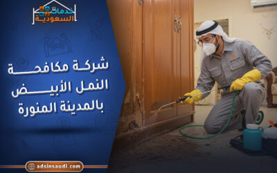 الإعلانات شركة مكافحة النمل الابيض بالمدينة المنورة