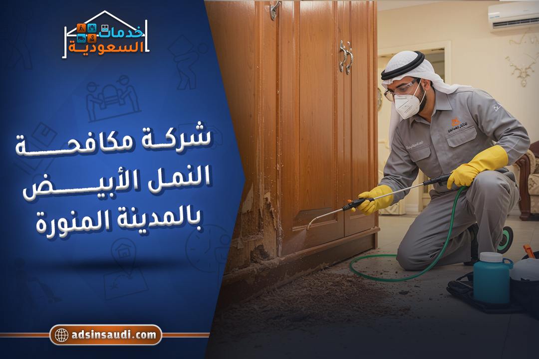 شركة مكافحة النمل الابيض بالمدينة المنورة