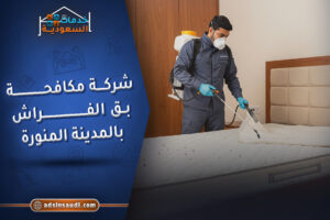 شركة مكافحة بق الفراش بالمدينة المنورة
