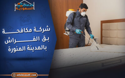 الإعلانات شركة مكافحة بق الفراش بالمدينة المنورة
