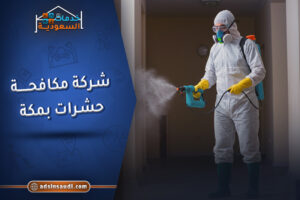 افضل شركة مكافحة حشرات بمكة
