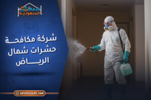 شركة مكافحة حشرات شمال الرياض