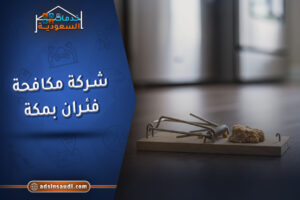افضل شركة مكافحة فئران بمكة